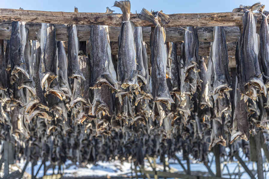 Noruega - islas Lofoten 076 - Henningsvaer - secadero de pescado.jpg